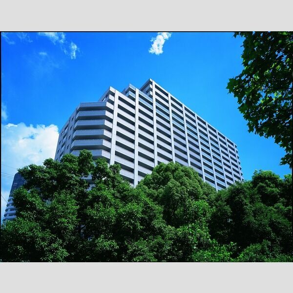 ��ヂ�m���[���{���@�痢�����w�i�k��6���j