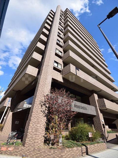 ���{���s�����敟���U���ڂP�k�c�j