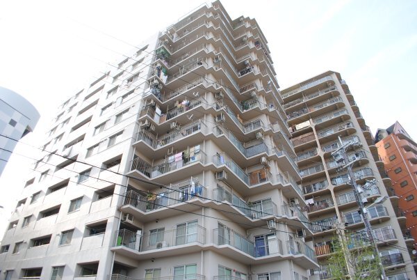 ���{���s�����{���P���ڂP�k�c�j