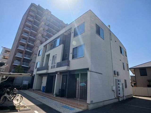 ��チ�g���J�����@����w�i�k��8���j�A��ヂ�m���[���{���@����w�i�k��8���j