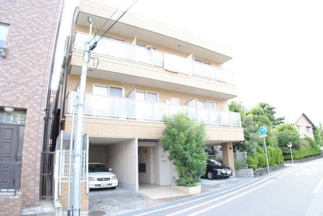 ���{���c�s�~�R���P�j