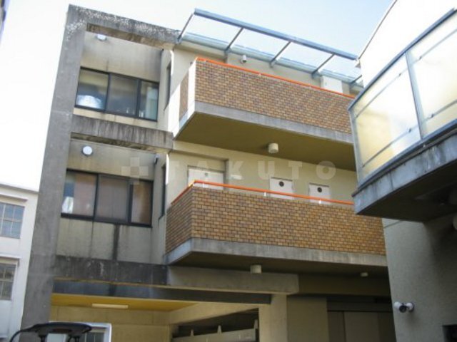 ��ヂ�m���[���{���@�Č����O�w�i�k��11���j