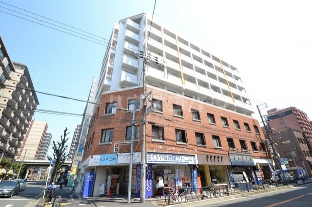 ���{���c�s�]�̖ؒ��P�q