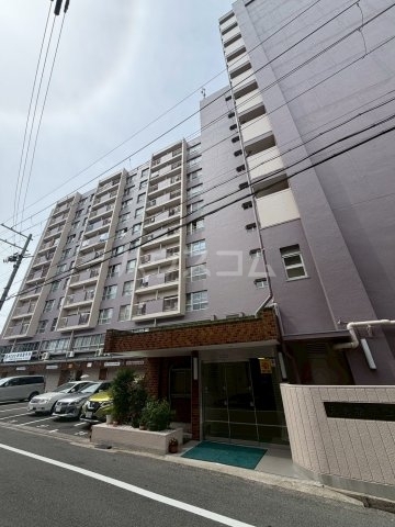��チ�g���J�����@�s���w�i�k��18���j