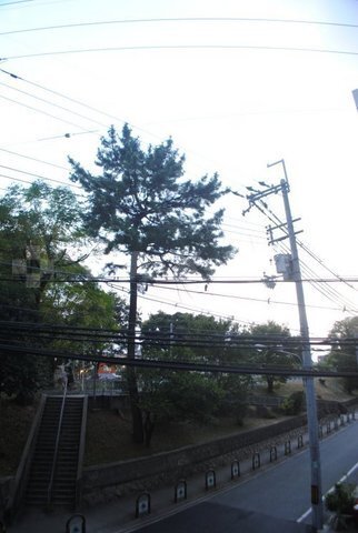 内観9