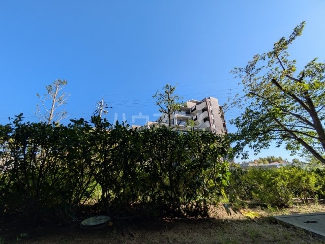 内観9