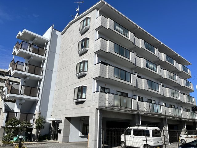 �i�q���C���{���@��F���w�i�k��11���j