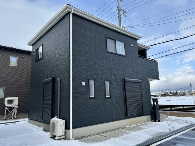 �I�X�X�������ʐ^