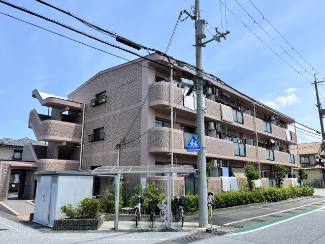 �i�q���C���{���@��F���w�i�k��9���j