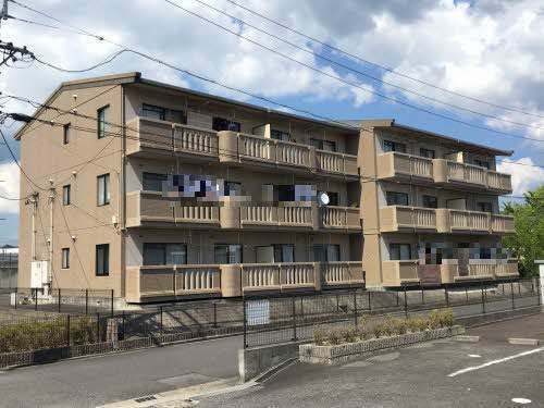 �ɉ�S���@�L���H�w�i�k��12���j