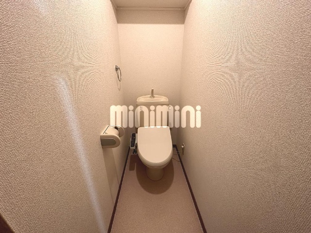 ����5