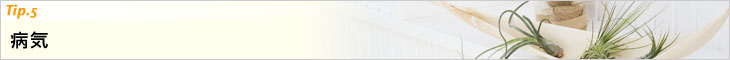 Tip.5　病気